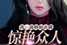 完结版《我,离婚如丧偶,惊艳众人过新人生》章节阅读-够力荐小说推荐网