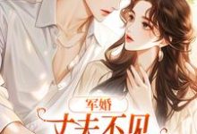 军婚：丈夫不见女儿被拐，我好累小说有没有完结版在线？-够力荐小说推荐网