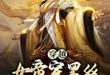 穿越：女帝穿黑丝，这是我能看的么小说无弹窗阅读的网站推荐-够力荐小说推荐网