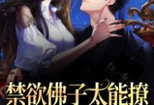 禁欲佛子太能撩，她意乱情迷了江窈宋知闲在线章节免费阅读-够力荐小说推荐网