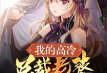 我的高冷总裁老婆小说的无弹窗阅读体验,寻找免费阅读网站-够力荐小说推荐网