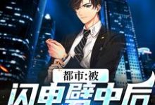 李恒的故事在哪本书里?免费阅读都市:被闪电劈中后我穿越了-够力荐小说推荐网