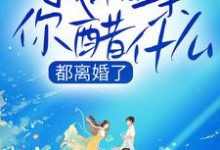小说《都离婚了，我相亲你醋什么》在线章节阅读-够力荐小说推荐网