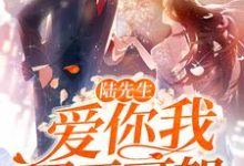 想读顾言笙陆寒霆的故事,哪里可以免费找到陆先生,爱你我罪无可恕?-够力荐小说推荐网