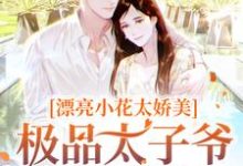 漂亮小花太娇美,极品太子爷被撩疯章节免费在线阅读,傅随黎染完结版-够力荐小说推荐网