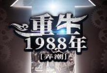 重生1988年刘天齐张雨欣,重生1988年小说免费阅读-够力荐小说推荐网