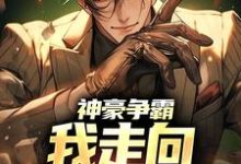 小说《神豪争霸：我走向赛季巅峰》在线章节阅读-够力荐小说推荐网