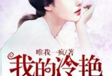我的冷艳女总裁这本小说怎么样？免费在线阅读试试-够力荐小说推荐网
