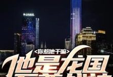 你惹他干嘛，他是龙国至尊战神叶天渊江瑶，你惹他干嘛，他是龙国至尊战神章节在线阅读-够力荐小说推荐网