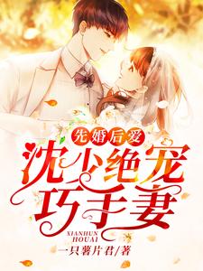 先婚后爱：沈少绝宠巧手妻章节免费在线阅读，沈少南冷绝心完结版
