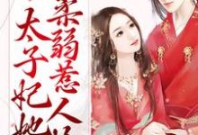 甜蜜宠爱:太子妃她柔弱惹人怜慕梓寒周璟小说免费阅读-够力荐小说推荐网