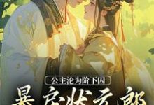 萧长宁赵渊为主角的小说叫什么?免费看公主沦为阶下囚,暴戾状元郎失控了-够力荐小说推荐网