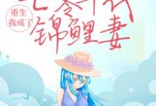 沈丹萝秦淮景的故事在哪本书里？免费阅读重生：我成了七零年代锦鲤妻-够力荐小说推荐网