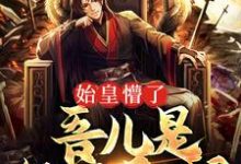 完结版《始皇懵了，吾儿是经商奇才？》章节阅读-够力荐小说推荐网