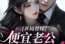 杨念念陆时深的故事在哪本书里?免费阅读开局替嫁,便宜老公身份不一般-够力荐小说推荐网