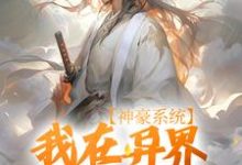 《神豪系统:我在异界杀伐果断》小说主角叶枫章节章节免费在线阅读-够力荐小说推荐网