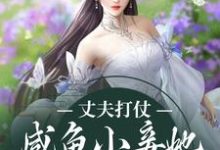 在线寻找丈夫打仗,咸鱼小妾她被迫勾心斗角小说的无删减版本-够力荐小说推荐网