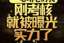 一心啃老的我,刚考核就被曝光实力了章节免费在线阅读,林辉完结版-够力荐小说推荐网