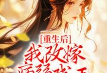 重生后,我改嫁病弱残王扶他上位免费阅读,重生后,我改嫁病弱残王扶他上位章节在线阅读-够力荐小说推荐网