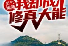 灵气稀薄,我却成修真大能?林峰林云瑶,灵气稀薄,我却成修真大能?章节在线阅读-够力荐小说推荐网