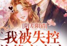 阴差阳错,我被失控总裁夜夜宠小说无弹窗阅读的网站推荐-够力荐小说推荐网