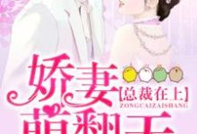 已完结小说《总裁在上:娇妻萌翻天》章节在线阅读-够力荐小说推荐网