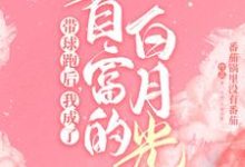 顾寒迟时吟小说叫什么(霸总歇歇吧,夫人都走三年了免费阅读)-够力荐小说推荐网