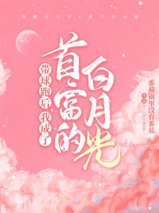 顾寒迟时吟小说叫什么（霸总歇歇吧，夫人都走三年了免费阅读）
