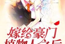 完整版的嫁给豪门植物人之后小说在哪里可以免费读到？-够力荐小说推荐网