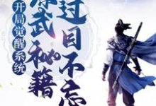 赢启徐胭脂的完整故事在哪里？读开局觉醒系统，综武秘籍我过目不忘小说-够力荐小说推荐网