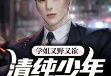 已完结小说《学姐又野又欲,清纯少年他红了脸》章节免费阅读-够力荐小说推荐网
