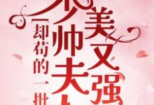 少帅夫人美又强，却苟的一批小说，少帅夫人美又强，却苟的一批免费阅读-够力荐小说推荐网
