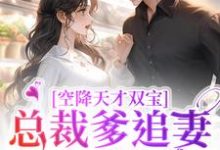 空降天才双宝,总裁爹追妻太疯狂小说的无弹窗阅读体验,寻找免费阅读网站-够力荐小说推荐网