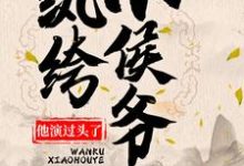 男女主人公韩策林念柔小说纨绔小侯爷他演过头了！章节免费阅读-够力荐小说推荐网