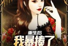 重生后,我暴揍了女友的男闺蜜小说的无弹窗阅读体验,寻找免费阅读网站-够力荐小说推荐网