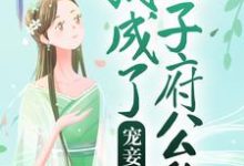 完结版《宠妾上位：我成了太子府公敌》在线免费阅读-够力荐小说推荐网