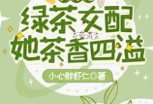 快穿之绿茶女配她茶香四溢季眠小说在线章节免费阅读-够力荐小说推荐网