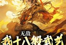 在线寻找无敌:我十八般武艺样样精通小说的无删减版本-够力荐小说推荐网