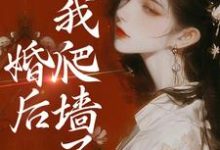 婚后,我爬墙了这本小说完结了吗?免费查看最新章节-够力荐小说推荐网