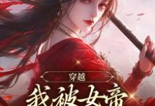 穿越,我被女帝抢了反派身份小说的最新章节在哪里更新?免费追踪阅读-够力荐小说推荐网