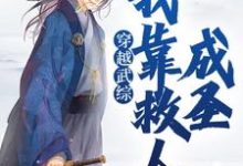 叶霖为主角的小说好看吗?免费读穿越武综,我靠救人成圣-够力荐小说推荐网