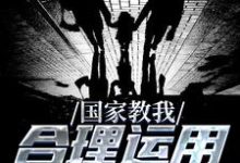 元初的小说在哪里看?免费在线阅读国家教我合理运用攻略系统-够力荐小说推荐网