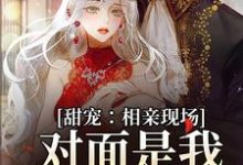 《甜宠:相亲现场,对面是我暗恋对象》小说大结局免费试读 孟黎月厉赴征小说-够力荐小说推荐网