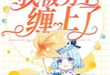 男女主人公叫沈婉儿夜卫昭的小说免费资源-够力荐小说推荐网