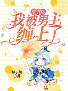 男女主人公叫沈婉儿夜卫昭的小说免费资源