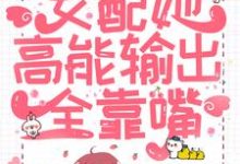 《快穿:女配她高能输出全靠嘴》小说主角林然褚修章节章节免费在线阅读-够力荐小说推荐网