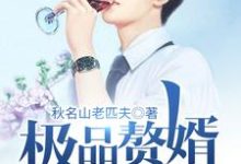 主角叶知夏枯市大波Q吹波Q夏枯小说极品赘婿奶爸免费阅读-够力荐小说推荐网