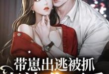 带崽出逃被抓:老婆,你不乖小说,带崽出逃被抓:老婆,你不乖乔洇温苏河-够力荐小说推荐网