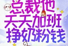 林枝枝陆易为主角的小说好看吗?求穿书后,总裁他天天加班挣奶粉钱免费试读-够力荐小说推荐网