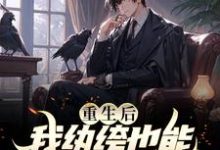 重生后,我纨绔也能掀起商界风波小说有没有完结版在线?-够力荐小说推荐网